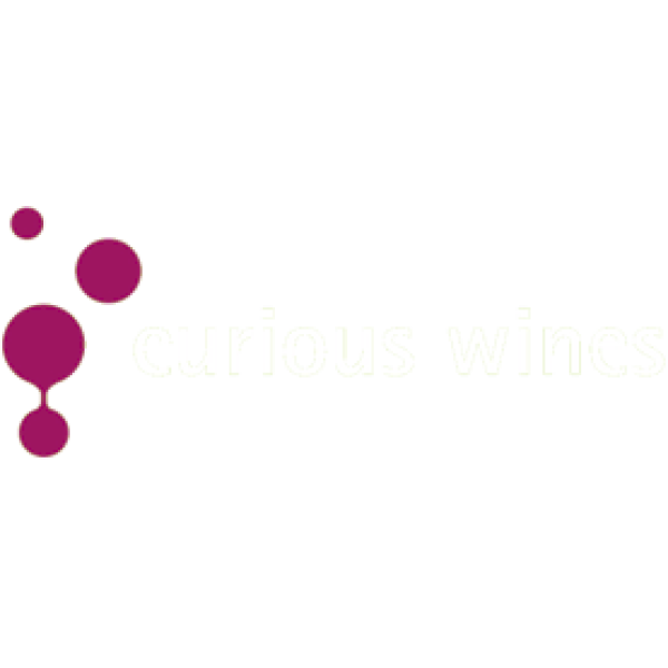 curious logo
